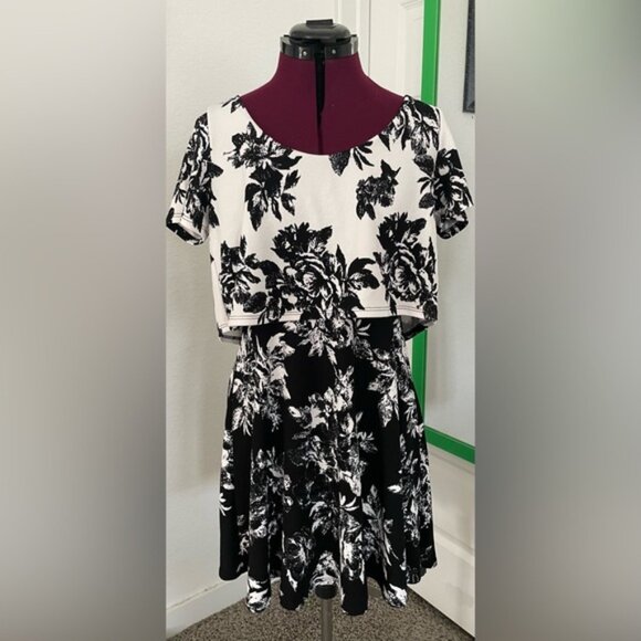 Dresses & Skirts - Black and White Fit and Flare Dress with Pleated Ruffles
